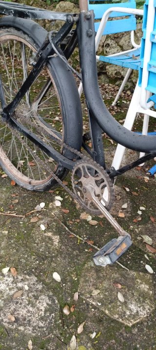 Velosolex Orbea