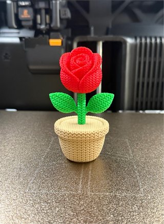 Rosa decorativa