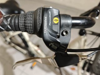 Bicicleta de mujer urbana