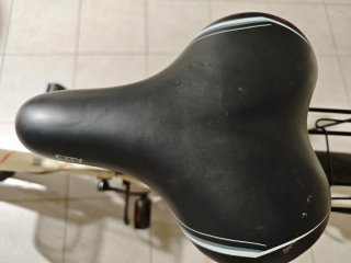 Bicicleta de mujer urbana