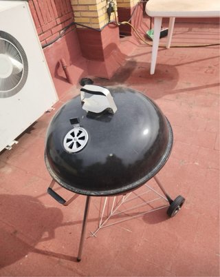Barbacoa de carbón negra y plateada