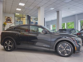 Ford Mustang Mach-E Base RWD Rango Estánd. (Bat. LFP) 198kW