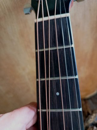 Alvarez RF26CESB Electroacústica Cutaway + Funda