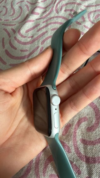 Apple Watch 40mm Verde/Plata