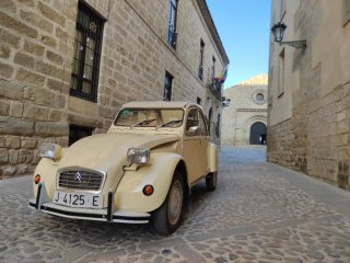 Citroen 2 CV 6 CT 1979
