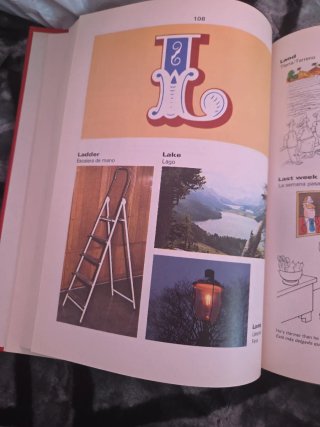 Diccionario en imágenes inglés junior
