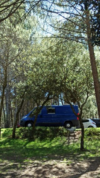 FIAT Ducato 2017