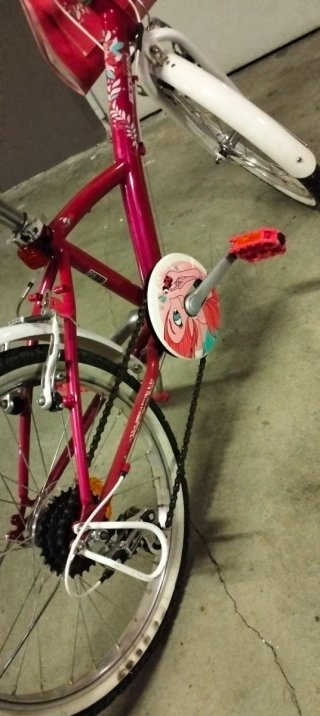 Bicicleta niña 20 pulgadas