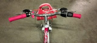 Bicicleta niña 20 pulgadas