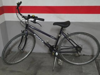 Bicicleta de paseo