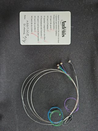Violín 1/2 con accesorios