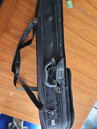 Violín 1/2 con accesorios