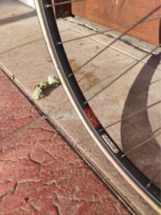Bicicleta Clásica Verde