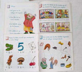 Lote 5 Libros Primaria Colección Vicens Vives