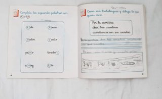 Lote 5 Libros Primaria Colección Vicens Vives