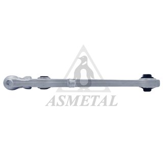 Brazo Suspensión Audi A6 Delantero