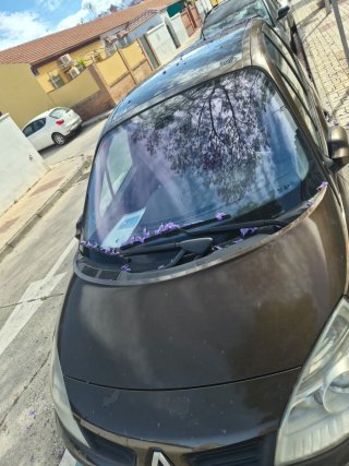 Renault Scenic 2007