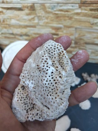 Piedras coral acuario pecera marina antiguas