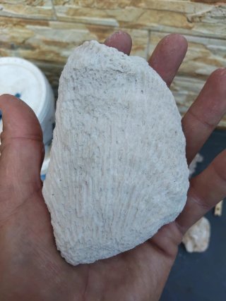 Piedras coral acuario pecera marina antiguas