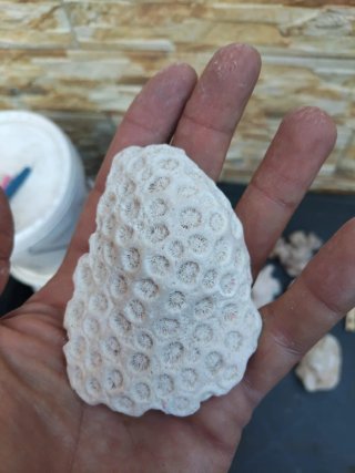 Piedras coral acuario pecera marina antiguas