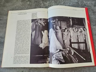 Libro El Vampiro En El Cine
