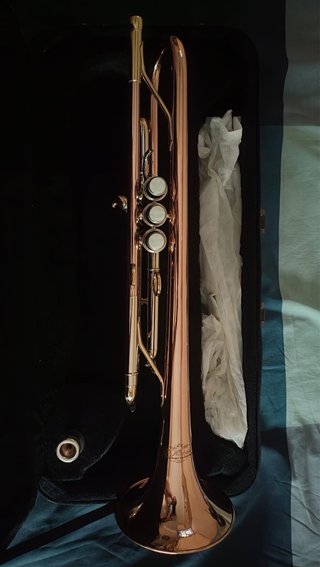 Trompeta J Michael TR450 SiB