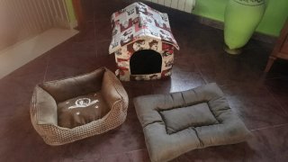 Lettini e casetta per animali domestici