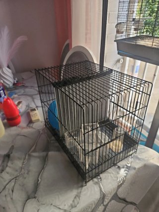 Jaula para cría de pájaros