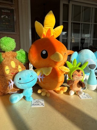 Pack Peluches Pokémon