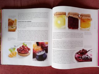 Libro "La cocina todo un arte". De Signo Editores.
