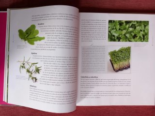 Libro "La cocina todo un arte". De Signo Editores.