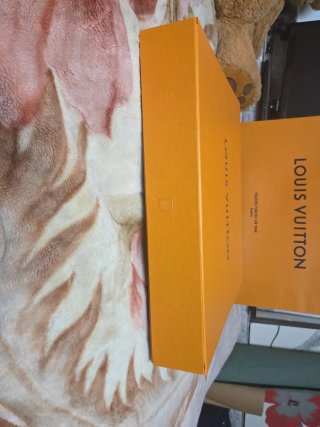Bolsa y Caja  grande Louis Vuitton  Naranja
