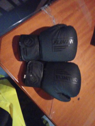 Guantes de boxeo FLINTR