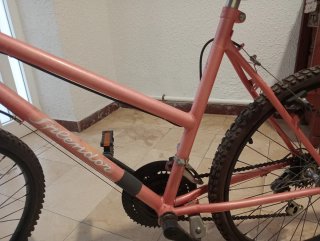 Bicicleta rosa