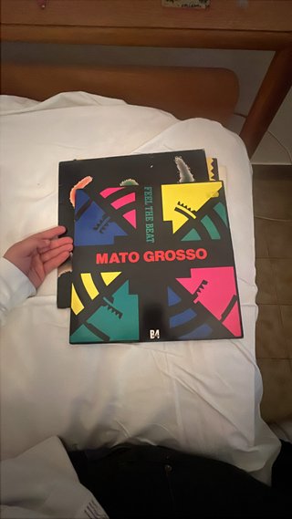 Mato Grosso Feel The Beat Dance Electro