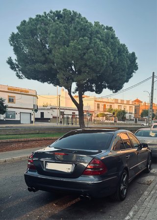 Mercedes-Benz Clase E 2006