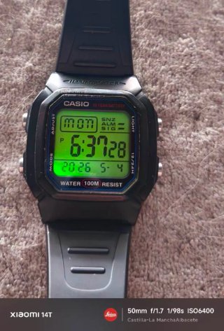 Casio W800H mod.
