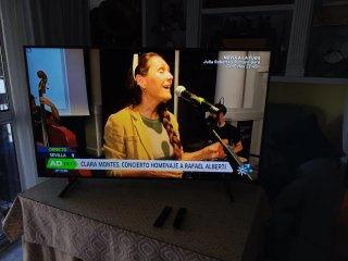 Samsung Smart TV 55 Negro/Gris