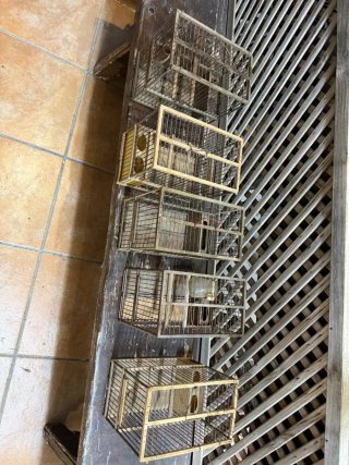 Jaulas para pájaros de madera
