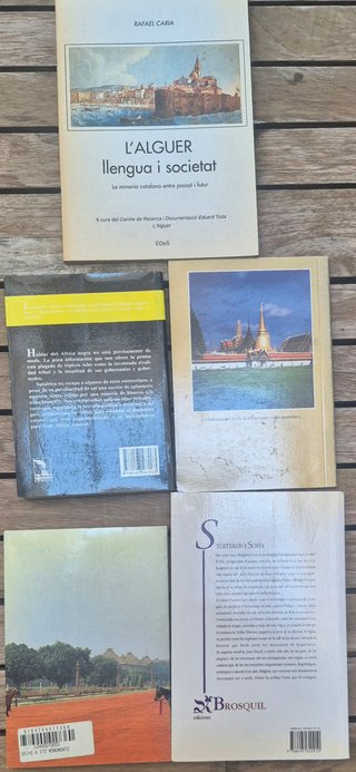 (2) GUÍAS DE VIAJE de los 5 CONTINENTES
