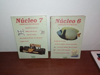 EGB . NÚCLEO 6 Y 7 . LOTE LIBROS ESCOLARES ANTIGUO