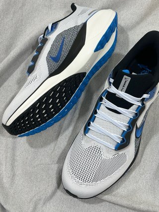 Nike Air Zoom Pegasus 41