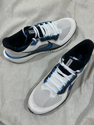 Nike Air Zoom Pegasus 41