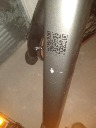 Bicicleta Eléctrica Fiido C21 Gris Oscuro Talla L