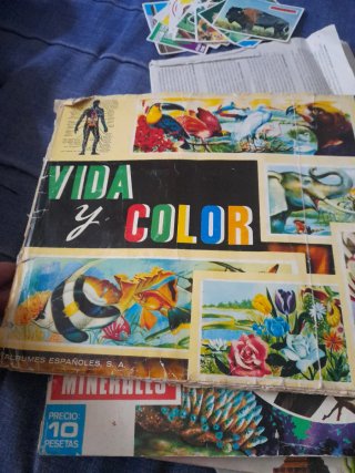 Lote Álbumes Cromos Vida y Color, América, Animale