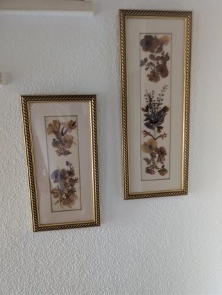 Conjunto 2 Cuadros Flores Secas Marco Dorado