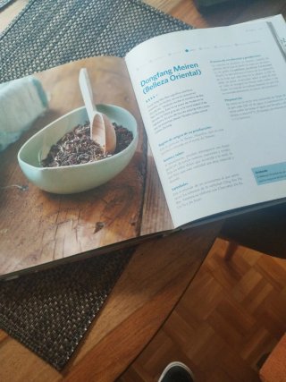 El gran libro del té