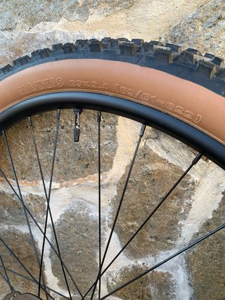 Rueda 29 Tubeless Maxxis Ardent EXO