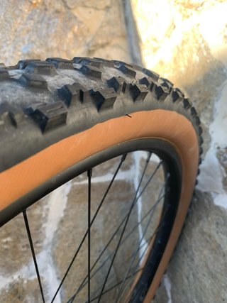 Rueda 29 Tubeless Maxxis Ardent EXO