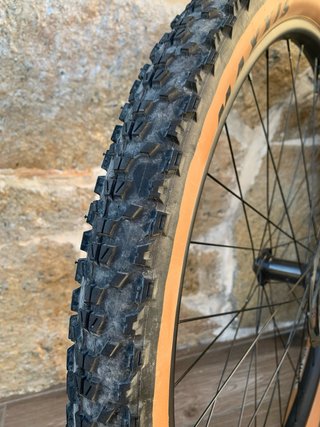 Rueda 29 Tubeless Maxxis Ardent EXO